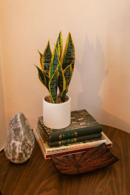 Classic & Cozy - Parking & Close To Dw Appartement *